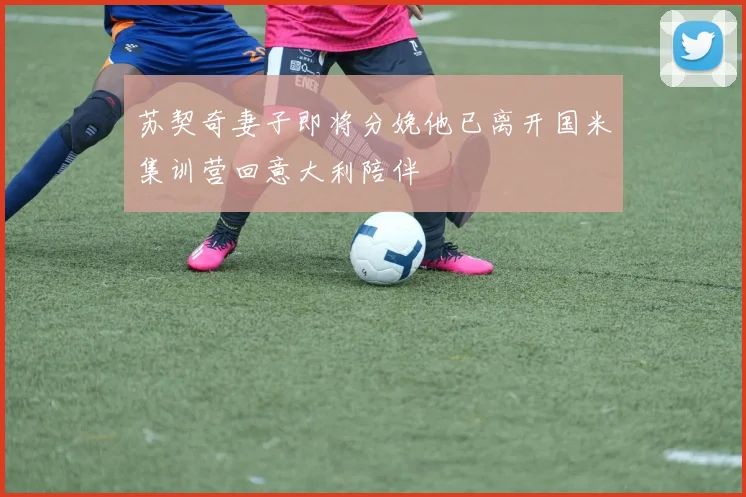苏契奇妻子即将分娩他已离开国米集训营回意大利陪伴